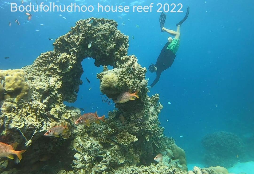 فندق Bodufolhudhooفي  بيت ضيافة سورفريتريت المظهر الخارجي الصورة